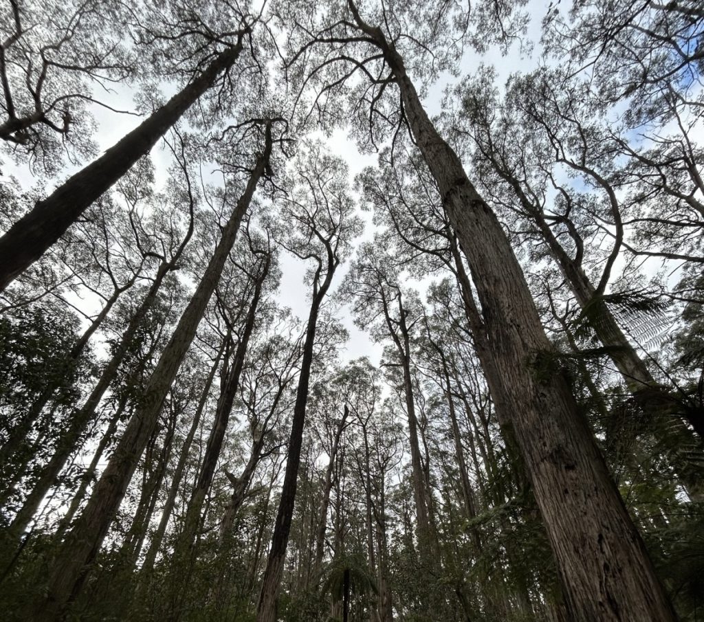 sostenibilità aziendale