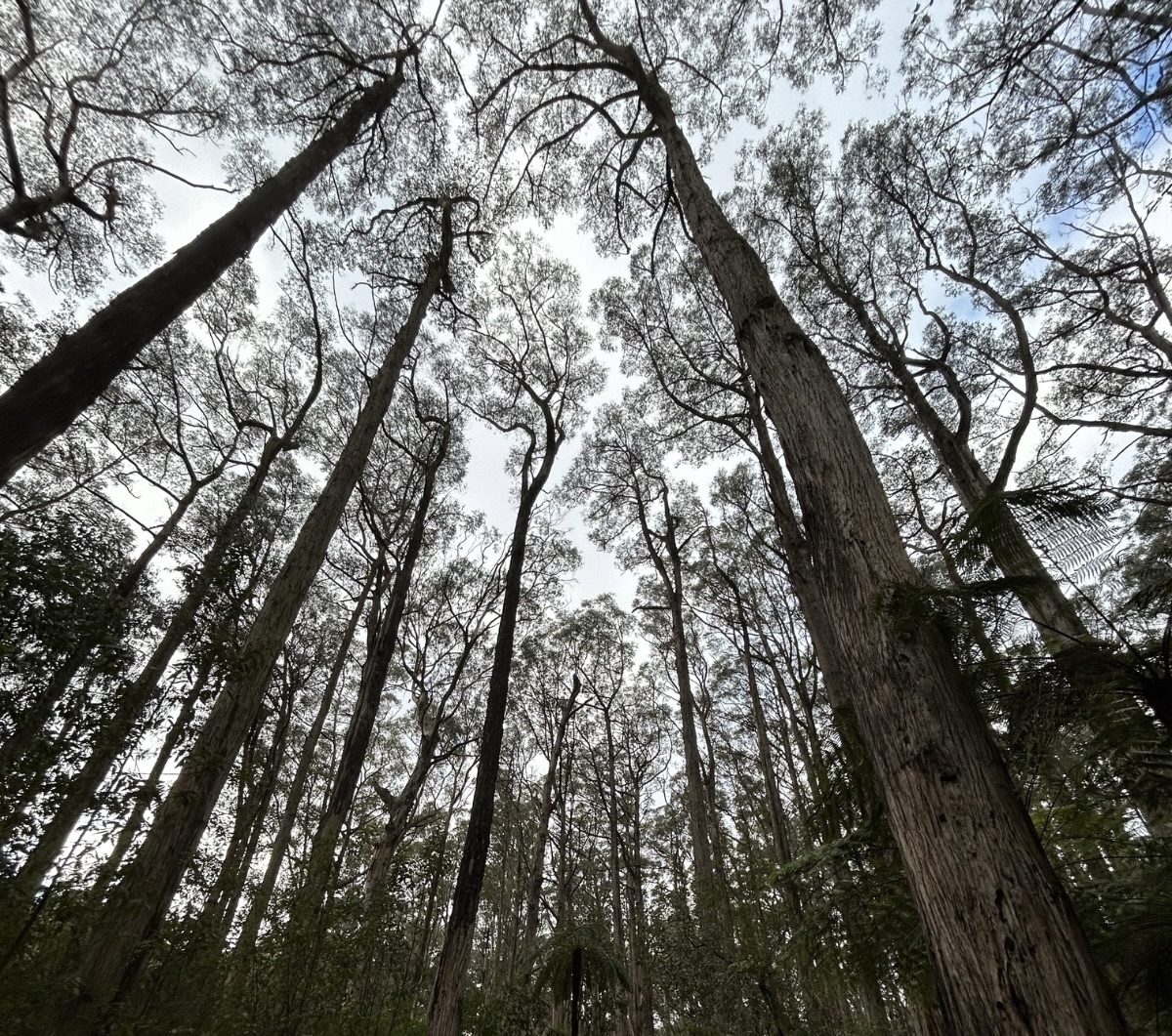 Un’azienda dovrebbe davvero preoccuparsi di sostenibilità?