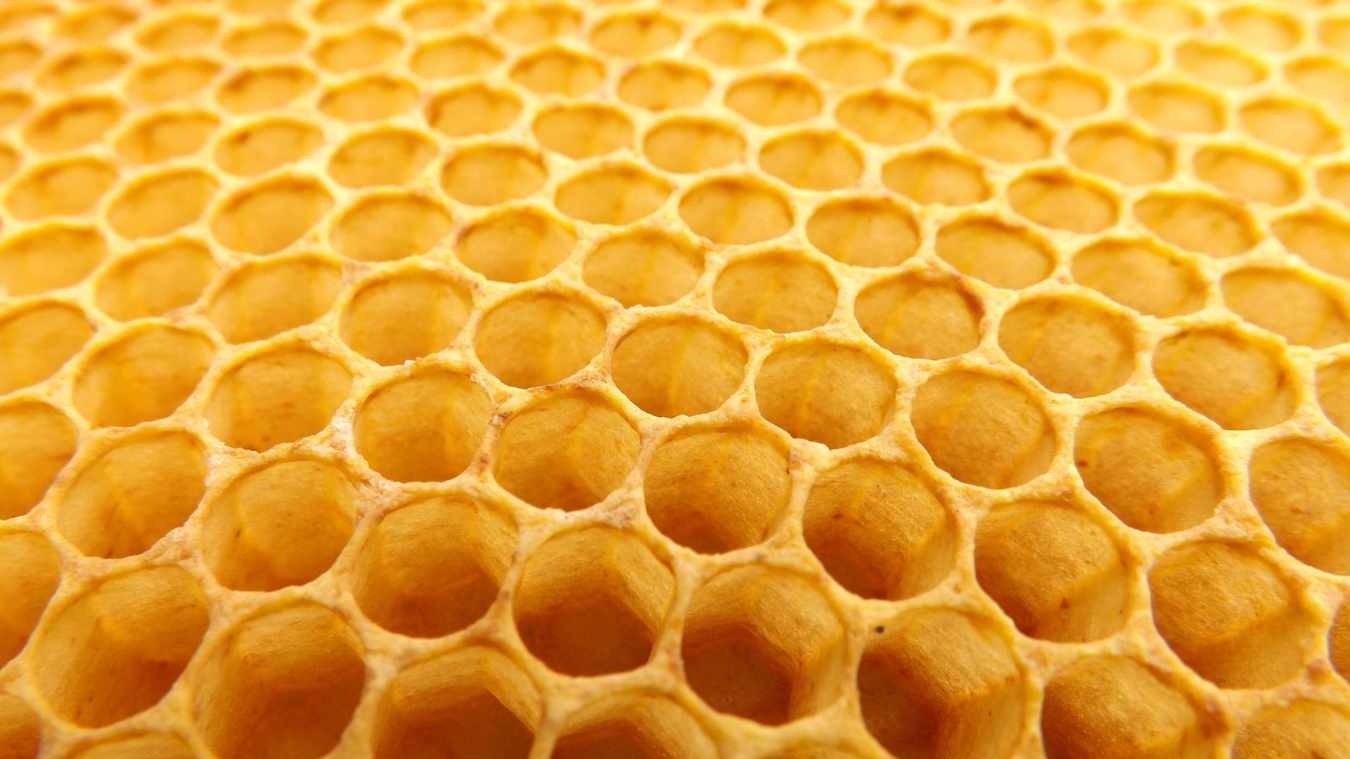 Se cambiassimo narrazione?